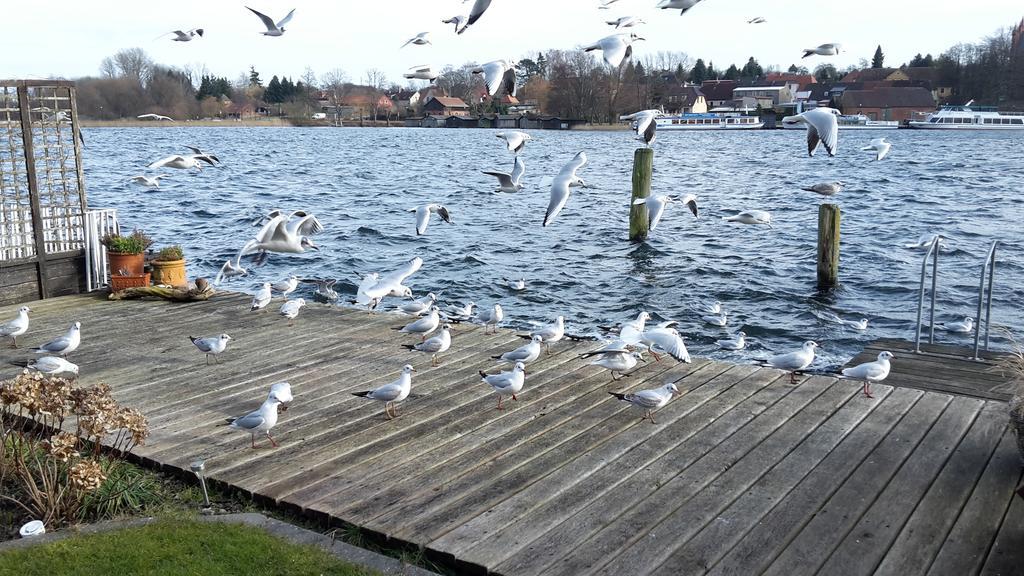 Fewo Direkt Am See - Malchow Apartment Malchow  Bagian luar foto